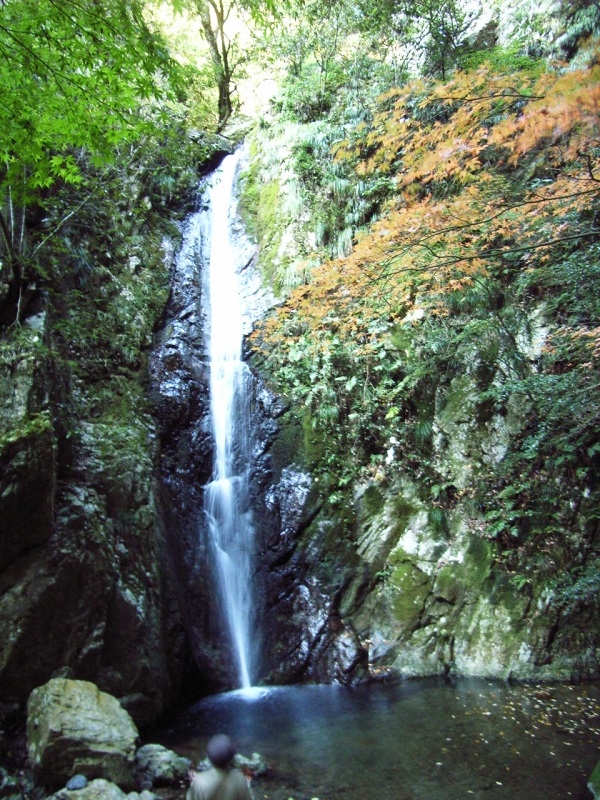 寺の花ものがたり（278） 岩瀧寺（兵庫県丹波市）紅葉＝11月中旬～下旬｜文化歴史｜マチゴト 豊中 池田